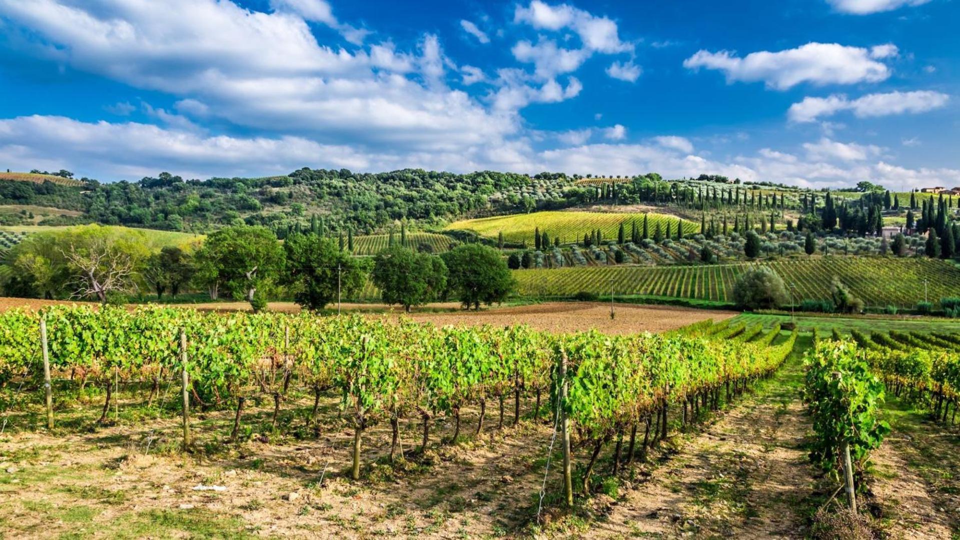 Terre Gialle - La Val D'Orcia Nascosta 카스텔 델 피아노 외부 사진