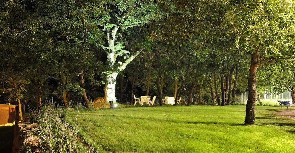 Terre Gialle - La Val D'Orcia Nascosta 카스텔 델 피아노 외부 사진