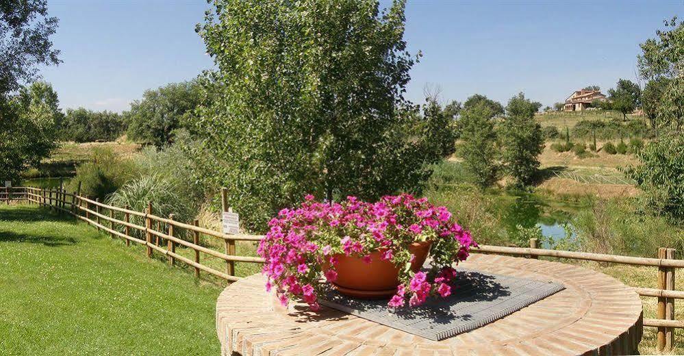 Terre Gialle - La Val D'Orcia Nascosta 카스텔 델 피아노 외부 사진
